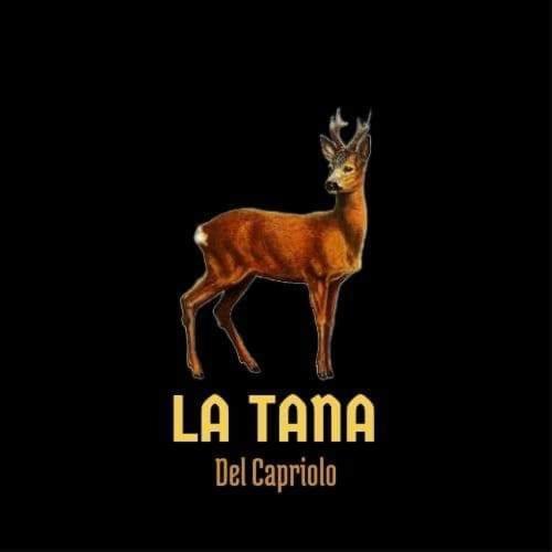 La Tana Del Capriolo Apartment Prati di Tivo Exterior foto