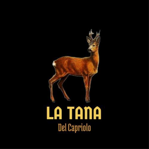 La Tana Del Capriolo Apartment Prati di Tivo Exterior foto